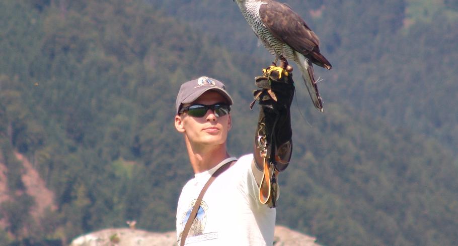 Соколиная охота в замке Ригерсбург